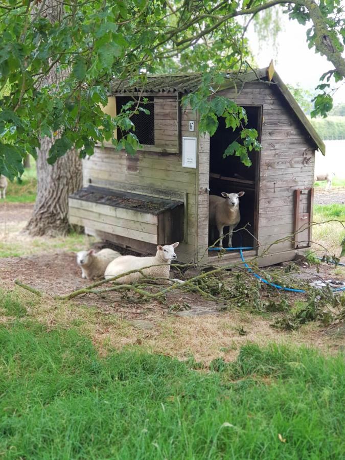 The Cosy Hut Villa Faversham Exterior foto